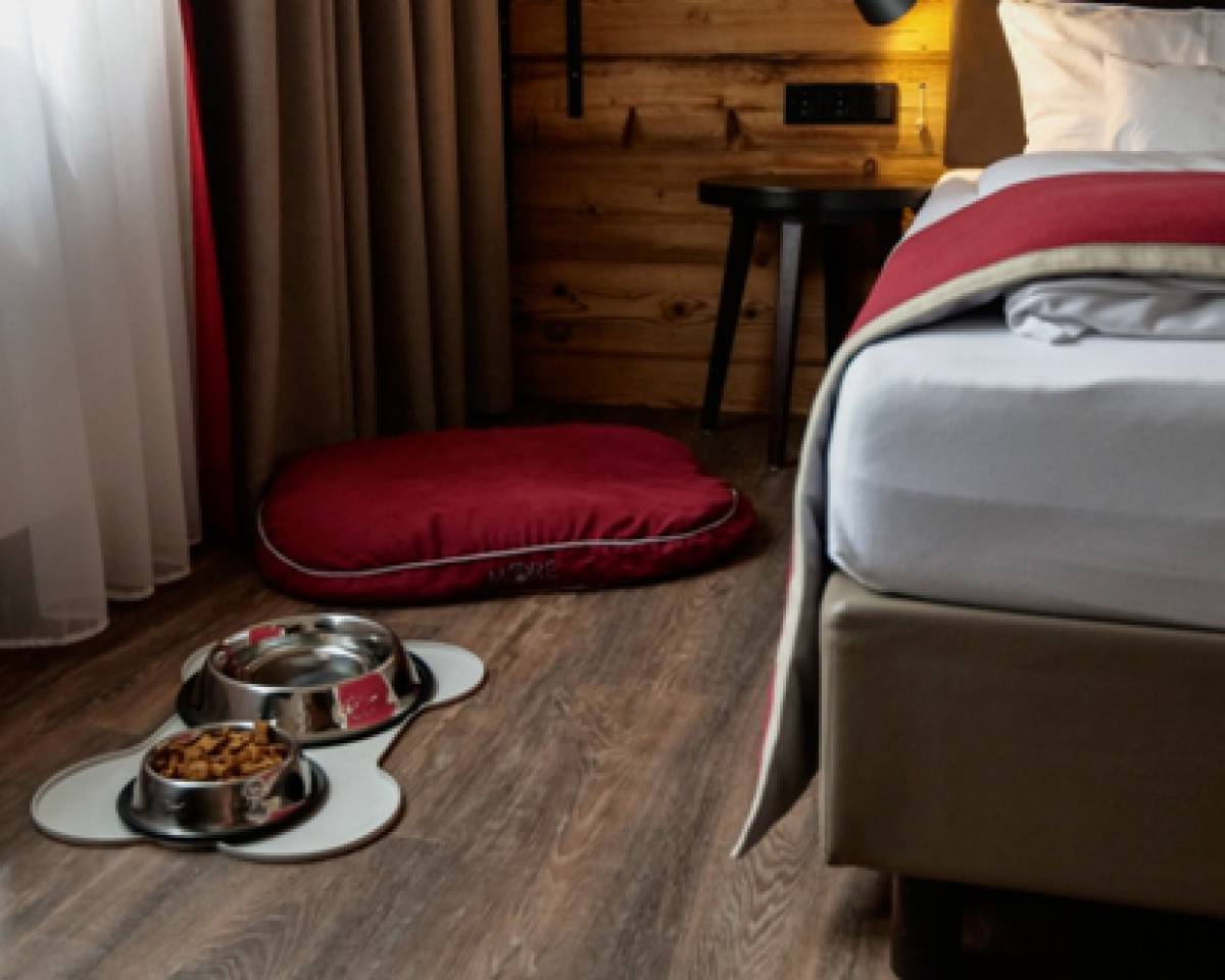 Ein Futternapf und eine Schüssel mit frischem Wasser steht neben einem Hundekissen auf dem Boden eines Schlafzimmers im Hotel Traumschmiede