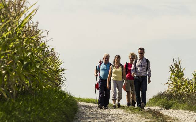 Pilgern in der Inn-Salzach-Region: eine Gruppe von Wanderern pilgert auf Feldwegen 