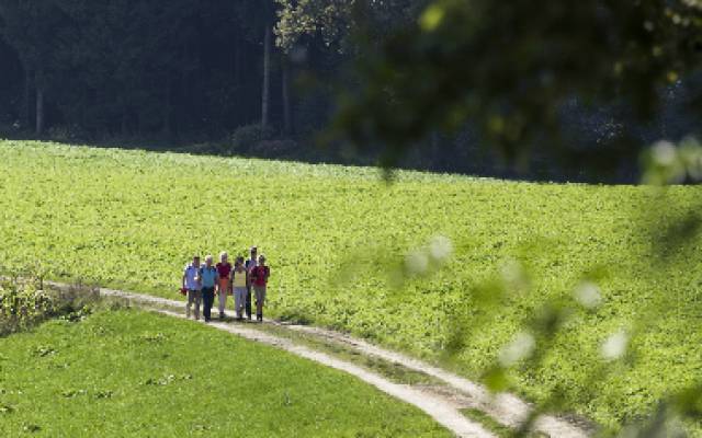 Eine Wandergruppe folgt einem idyllischen Kiesweg durch grüne Wiesen in der Nähe des Hotels Traumschmiede