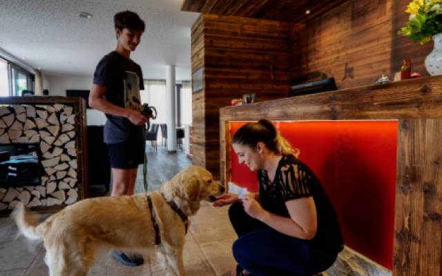 Eine Mitarbeiterin des Hotels Traumschmiede begrüßt den Golden Retriever eines Gastes herzlich mit einem Leckerli