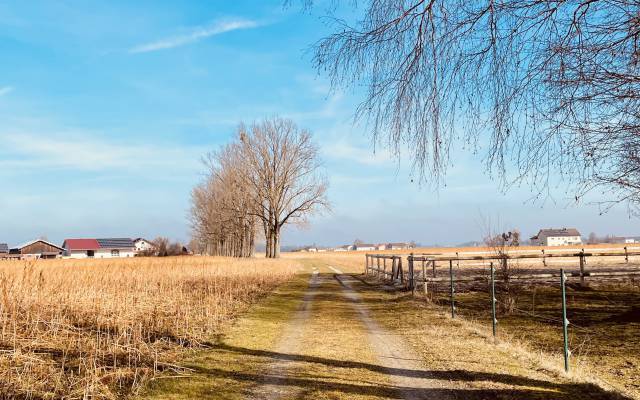 Ein breiter Feldweg unter strahlend blauem Himmel, der gleichzeitig Teil der Route der Bier-Wanderung des Hotels Traumschmiede ist 